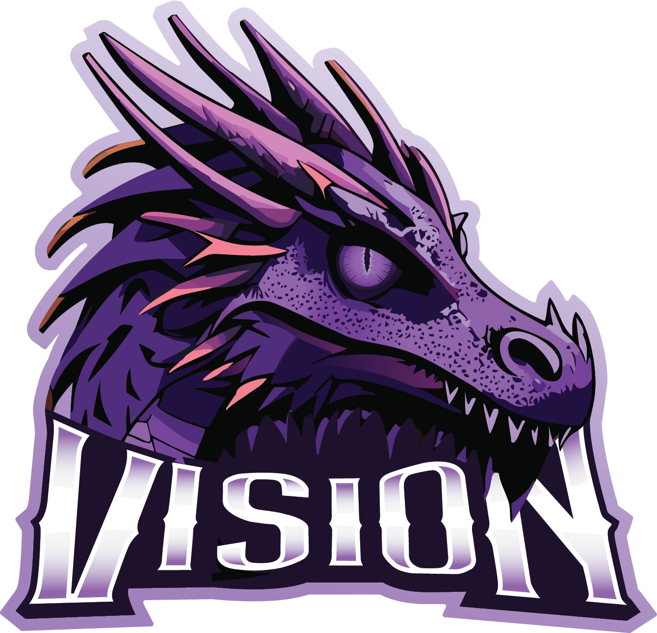 Visn logo